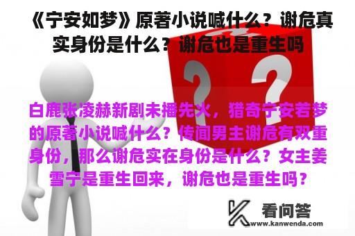 《宁安如梦》原著小说喊什么？谢危真实身份是什么？谢危也是重生吗