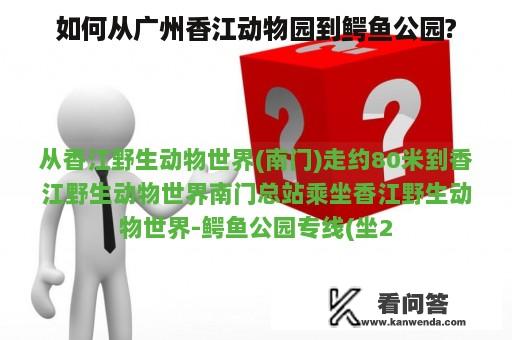 如何从广州香江动物园到鳄鱼公园?