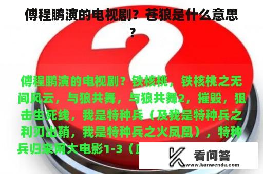 傅程鹏演的电视剧？苍狼是什么意思？