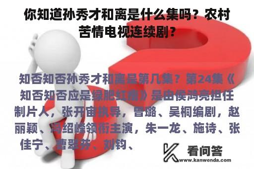 你知道孙秀才和离是什么集吗？农村苦情电视连续剧？