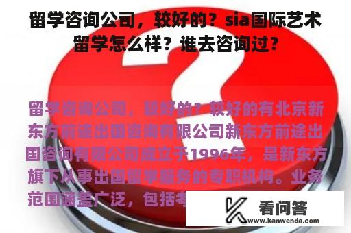留学咨询公司，较好的？sia国际艺术留学怎么样？谁去咨询过？