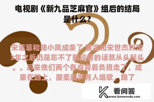 电视剧《新九品芝麻官》组后的结局是什么？