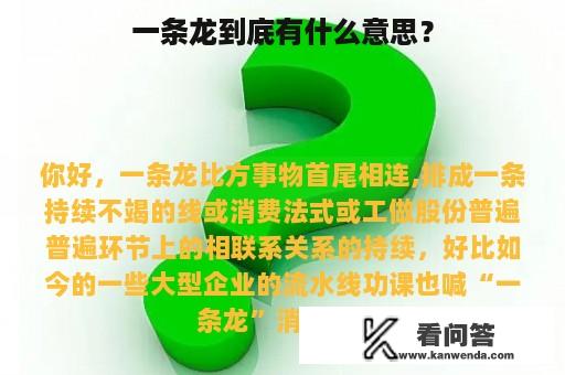 一条龙到底有什么意思？