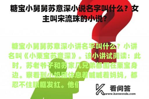 糖宝小舅舅苏意深小说名字叫什么？女主叫宋流珠的小说？