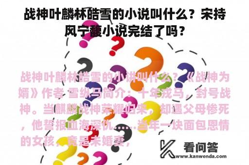 战神叶麟林皓雪的小说叫什么？宋持风宁馥小说完结了吗？