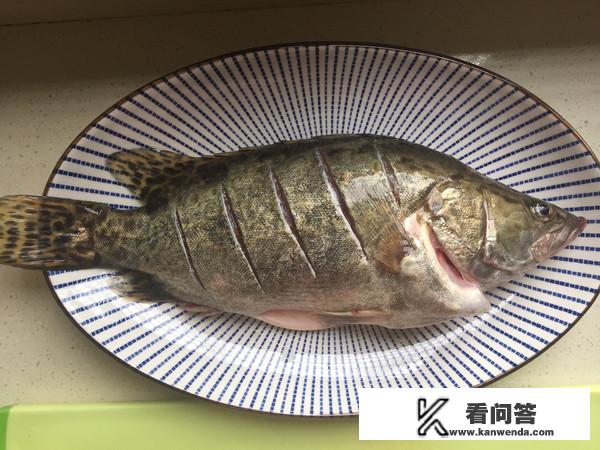 清蒸桂鱼几分钟最好食用？桂鱼怎么清蒸才好食用？