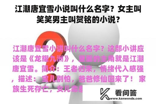 江潮唐宜雪小说叫什么名字？女主叫笑笑男主叫贺铭的小说？