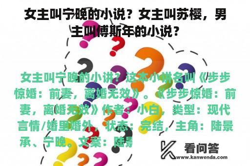 女主叫宁晚的小说？女主叫苏樱，男主叫傅斯年的小说？