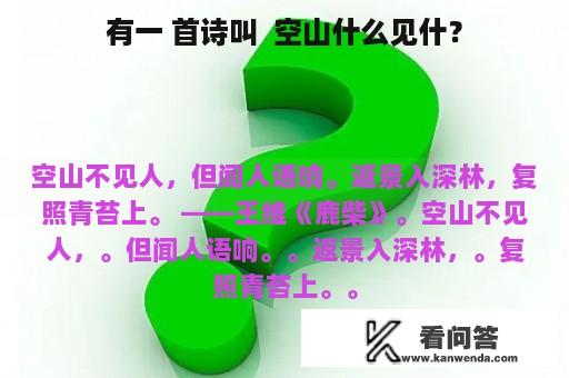 有一 首诗叫  空山什么见什？