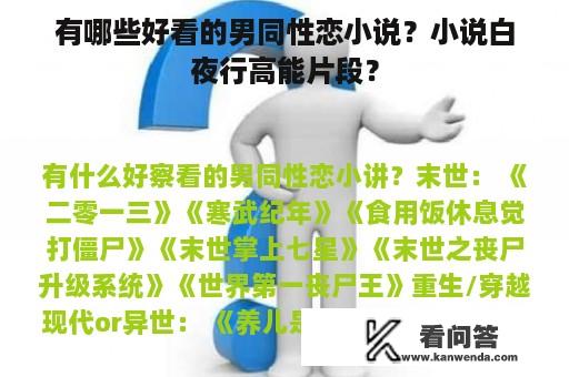 有哪些好看的男同性恋小说？小说白夜行高能片段？