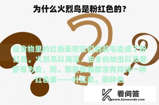 为什么火烈鸟是粉红色的？