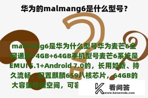 华为的malmang6是什么型号？