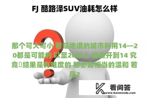 FJ 酷路泽SUV油耗怎么样