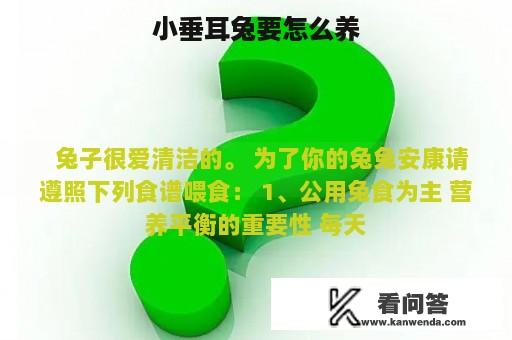 小垂耳兔要怎么养