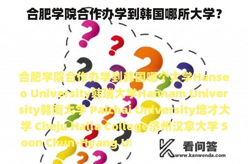 合肥学院合作办学到韩国哪所大学？