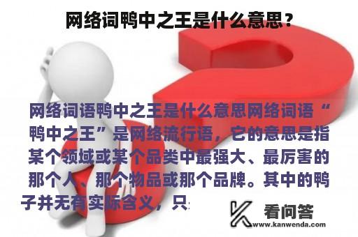 网络词鸭中之王是什么意思？