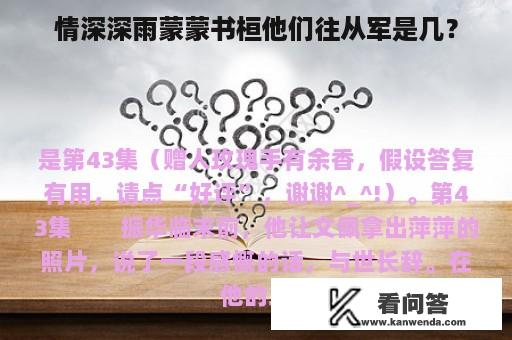 情深深雨蒙蒙书桓他们往从军是几？