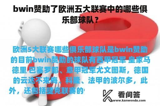 bwin赞助了欧洲五大联赛中的哪些俱乐部球队？