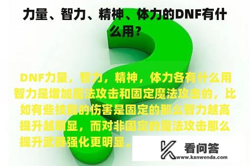 力量、智力、精神、体力的DNF有什么用？