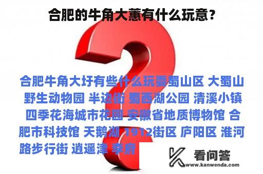 合肥的牛角大蕙有什么玩意？