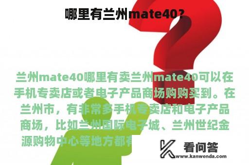 哪里有兰州mate40？