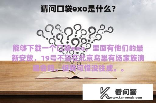 请问口袋exo是什么？