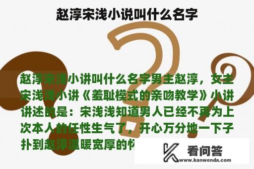 赵淳宋浅小说叫什么名字