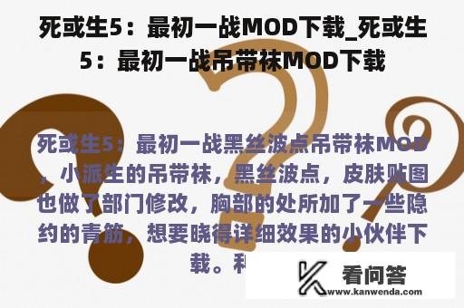 死或生5：最初一战MOD下载_死或生5：最初一战吊带袜MOD下载