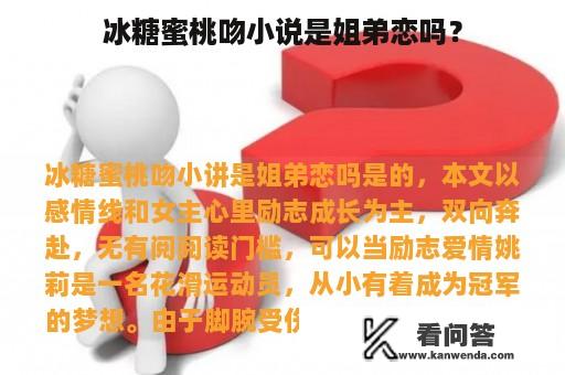 冰糖蜜桃吻小说是姐弟恋吗？