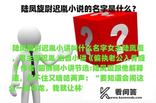 陆凤旋尉迟胤小说的名字是什么？