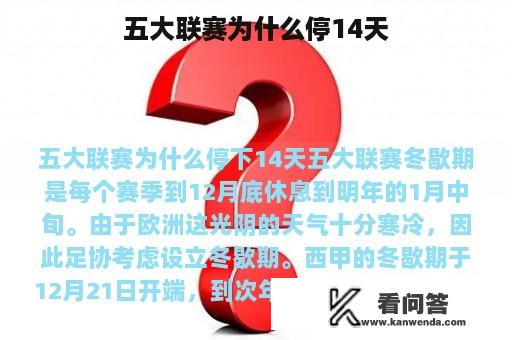 五大联赛为什么停14天