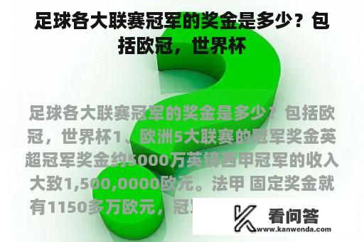 足球各大联赛冠军的奖金是多少？包括欧冠，世界杯