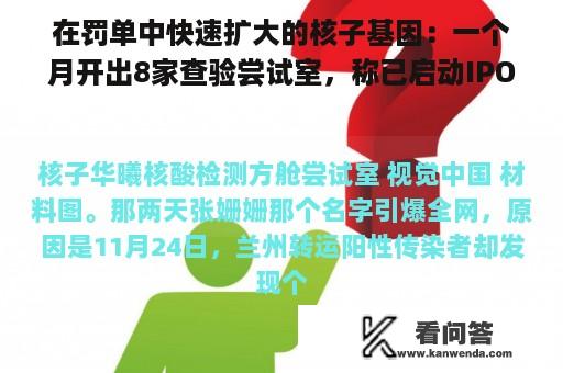 在罚单中快速扩大的核子基因：一个月开出8家查验尝试室，称已启动IPO