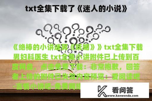 txt全集下载了《迷人的小说》