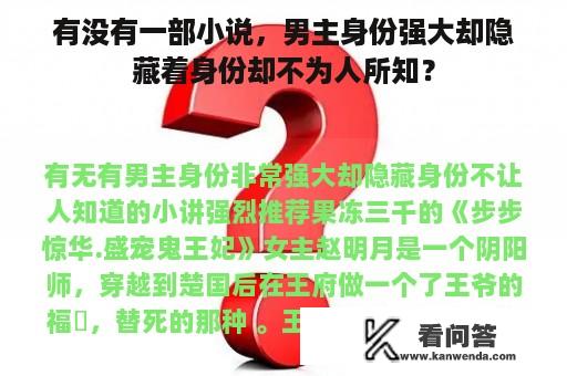 有没有一部小说，男主身份强大却隐藏着身份却不为人所知？