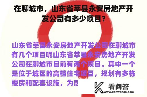 在聊城市，山东省莘县永安房地产开发公司有多少项目？