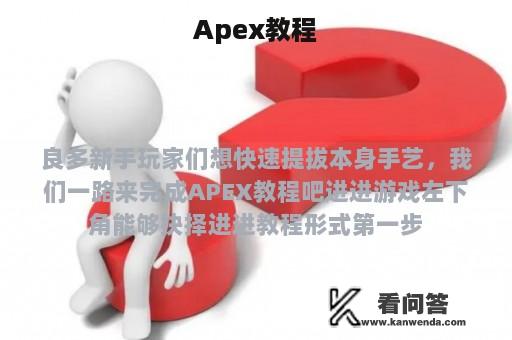 Apex教程