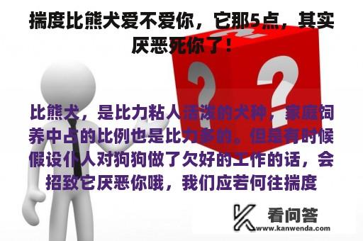 揣度比熊犬爱不爱你，它那5点，其实厌恶死你了！