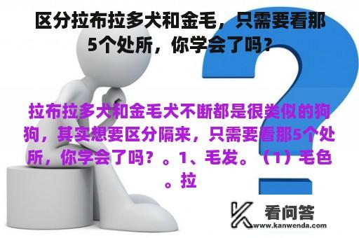 区分拉布拉多犬和金毛，只需要看那5个处所，你学会了吗？