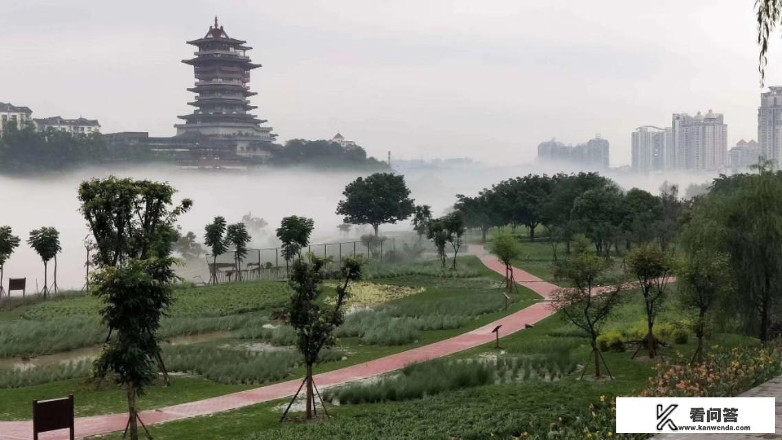 非常焦虑！境外疫情扩散越来越严重，今年旅游业的出路在哪里