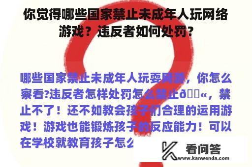 你觉得哪些国家禁止未成年人玩网络游戏？违反者如何处罚？