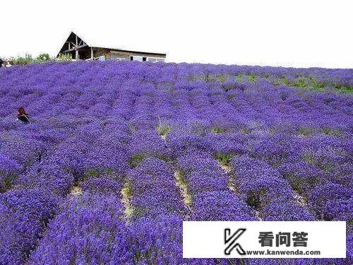 这个季节那个地方适合旅游