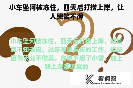 小车坠河被冻住，四天后打捞上岸，让人哭笑不得