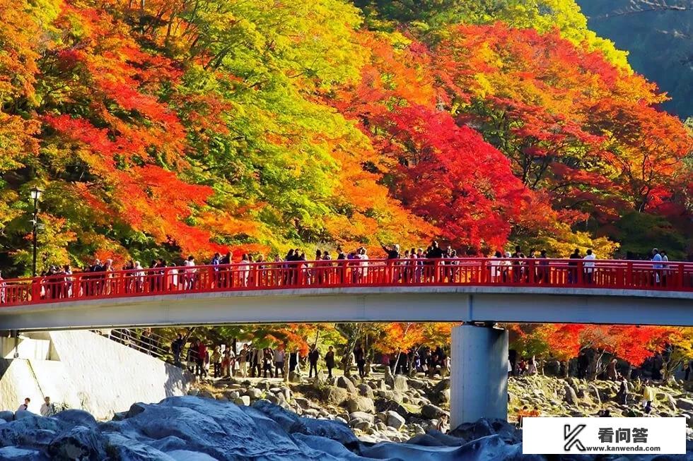 从旅游上来讲，日本和韩国谁的旅游业发展更好