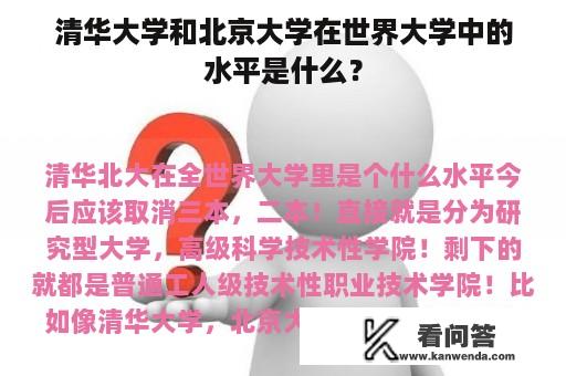 清华大学和北京大学在世界大学中的水平是什么？