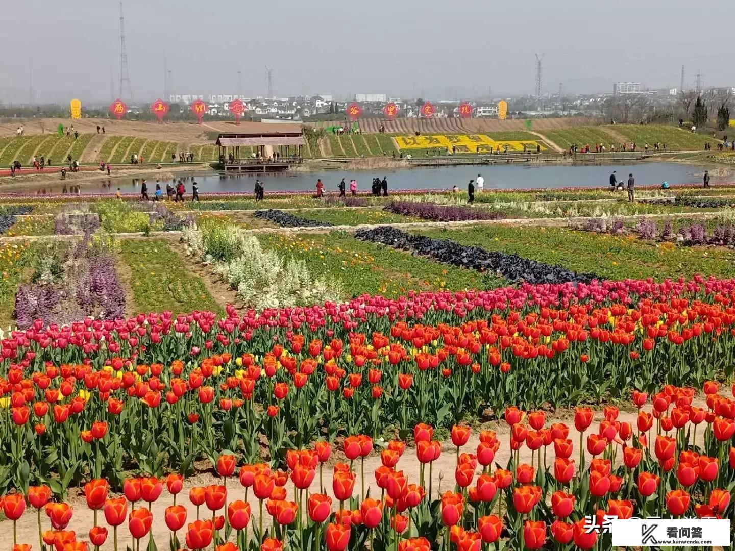 有人讲“报复性玩乐耍”就要开端啦,你准备好了吗,有何感受 有人讲“报复性玩乐耍”就要开端啦,你准备好了吗,有何感受