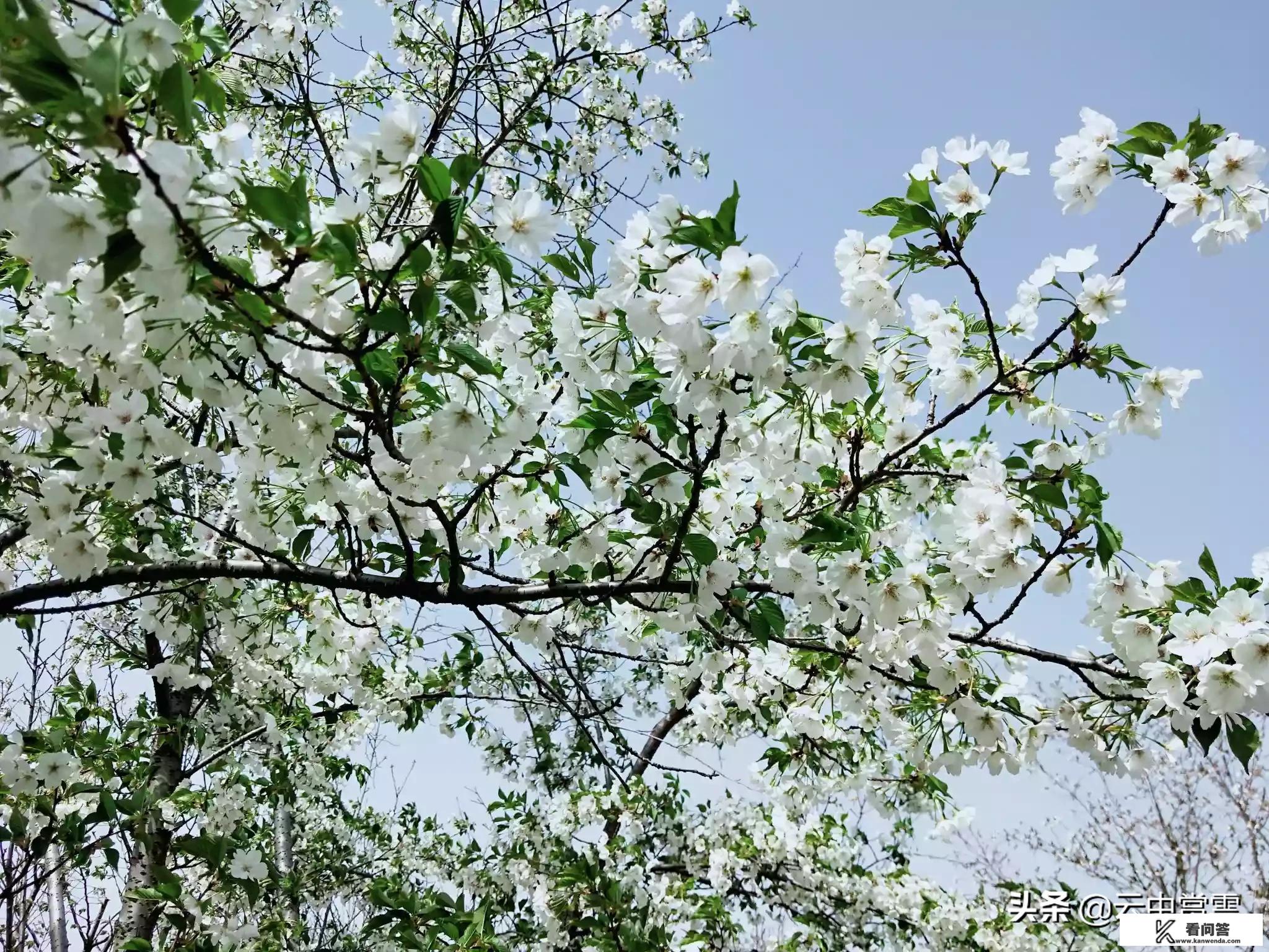有人讲“报复性玩乐耍”就要开端啦,你准备好了吗,有何感受 有人讲“报复性玩乐耍”就要开端啦,你准备好了吗,有何感受
