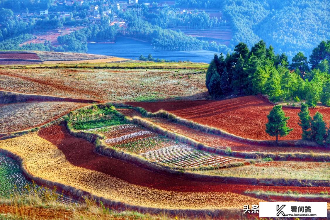 12月份到云南旅游合适吗？适合去云南哪里