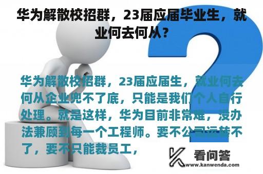 华为解散校招群，23届应届毕业生，就业何去何从？