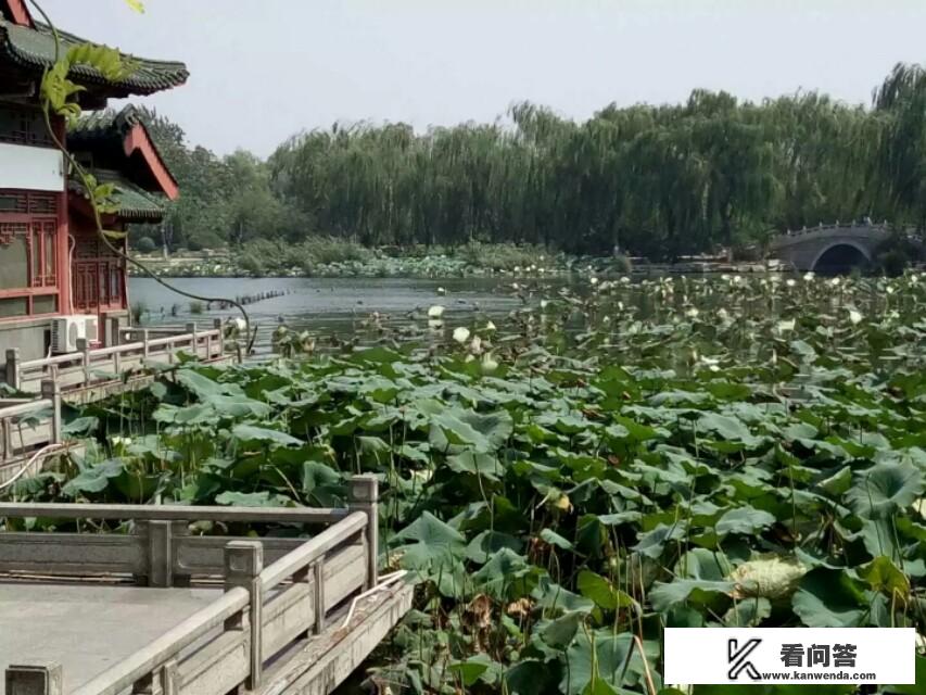 马上到五一了？国家允许出省游玩吗